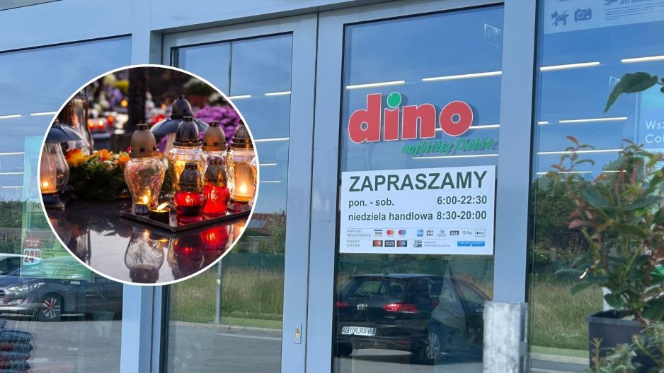 Lustrzany lampion z Dino