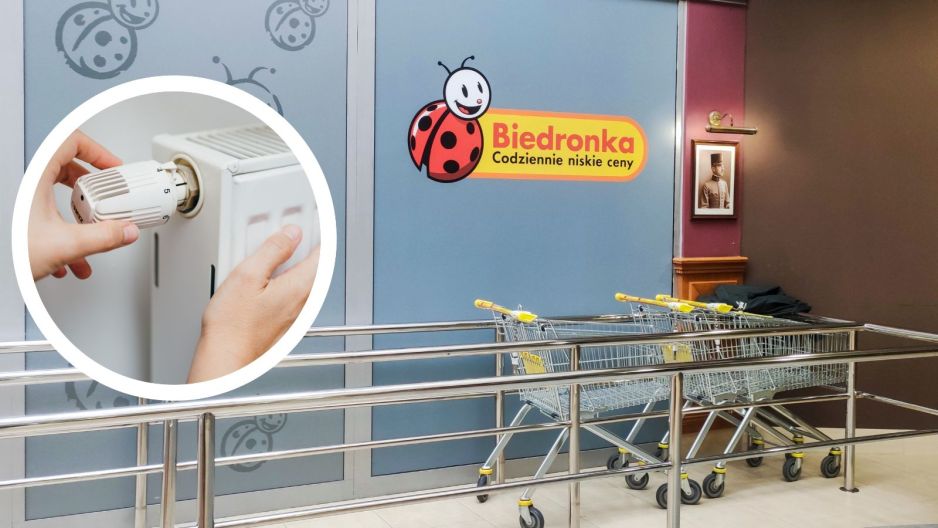 biedronka