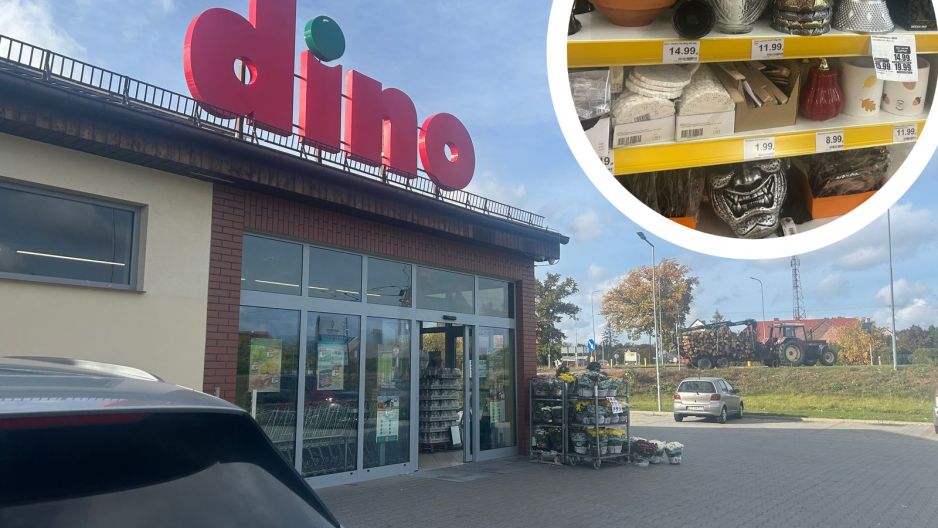 dino