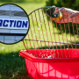 action grill