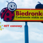 biedronka hit