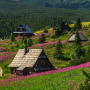 tatry