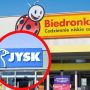 biedronka fotel bujak