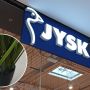 Roślina z Jysk