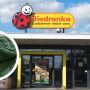biedronka